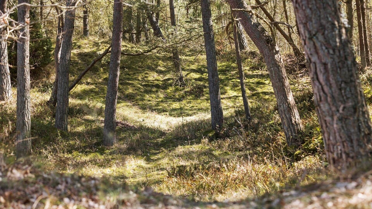 Photo of Others in Boderne