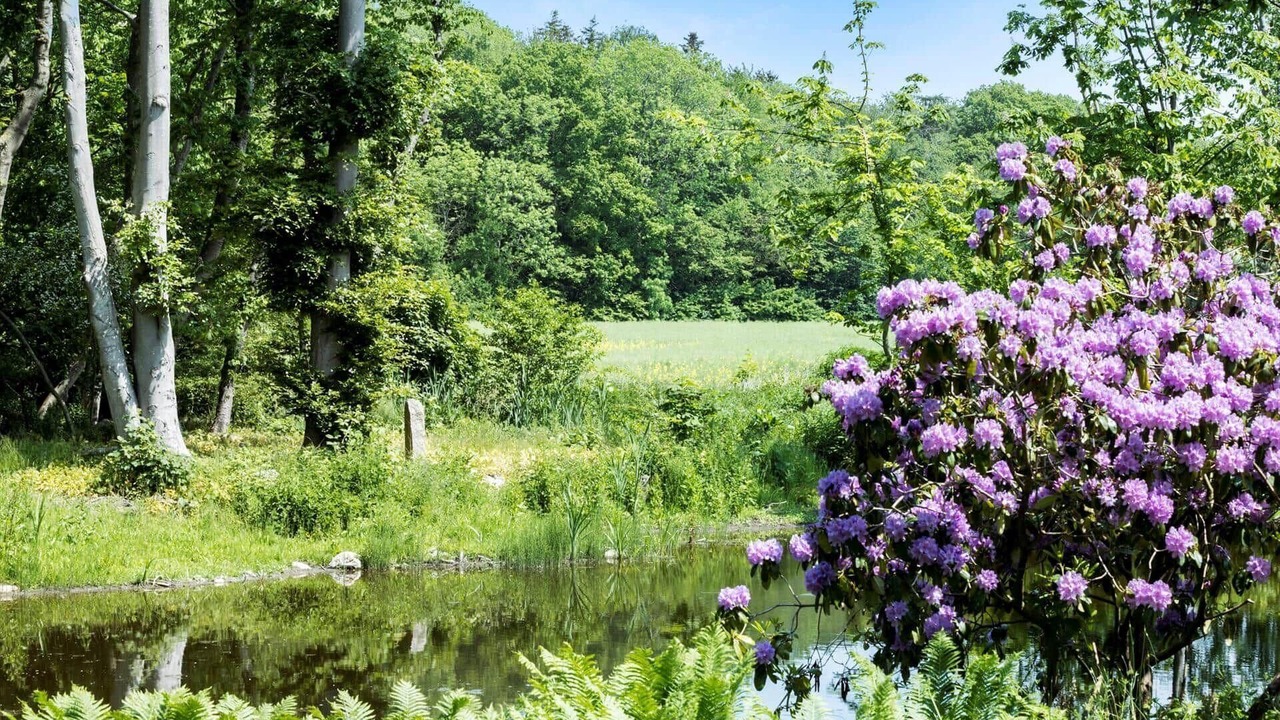 Photo of Outdoor in Akirkeby