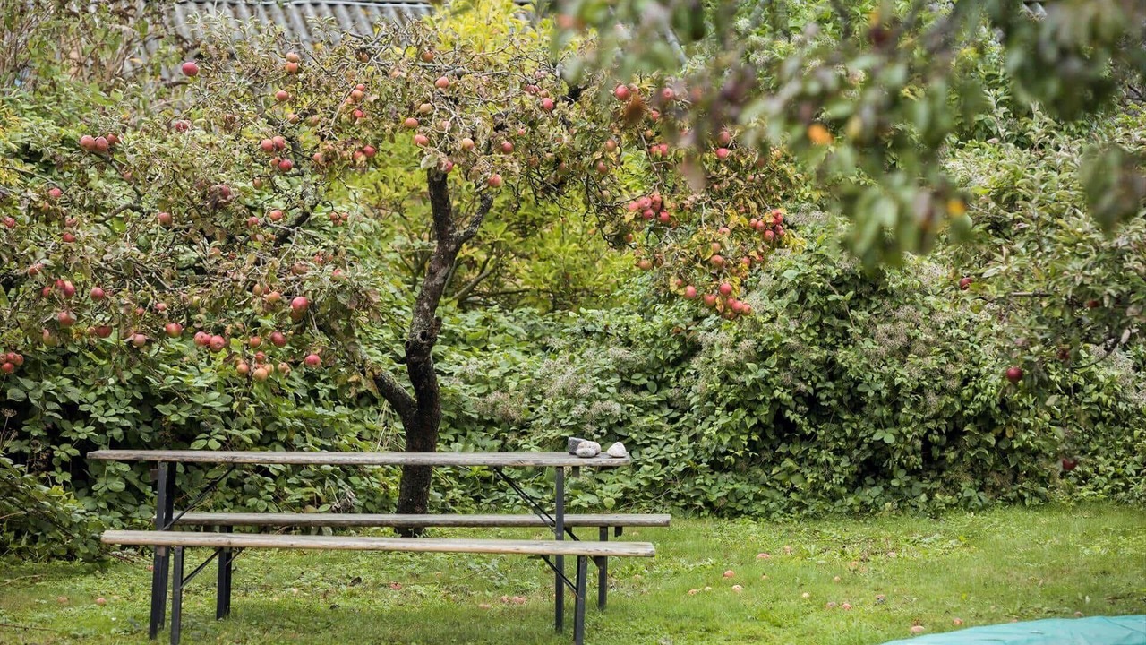 Photo of Outdoor in Svaneke