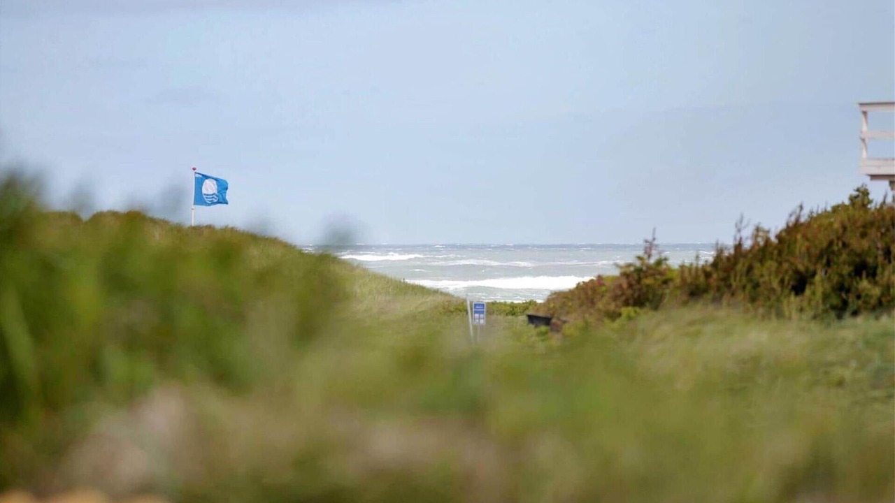 Photo of Others in Rødhus