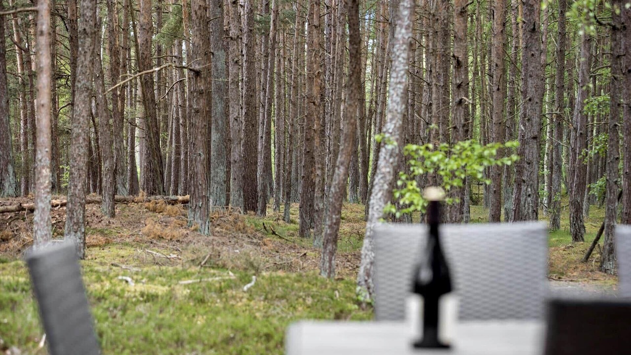 Photo of Outdoor in Dueodde