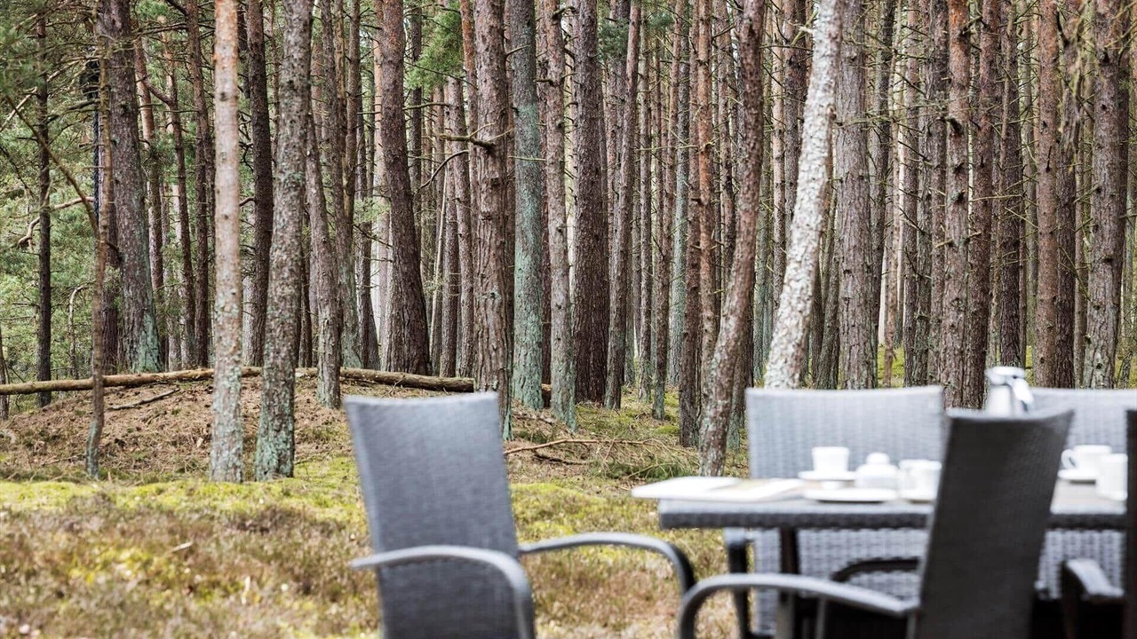 Photo of Outdoor in Dueodde