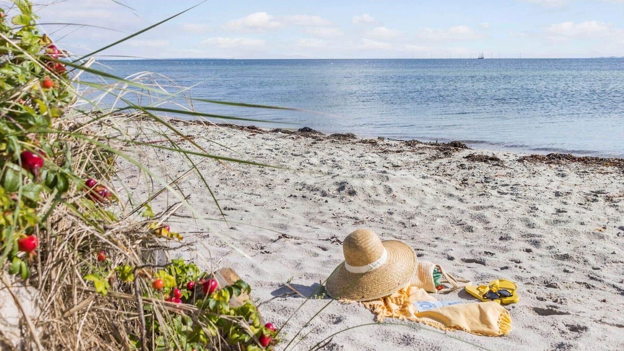 Photo of Others in Saksild Strand