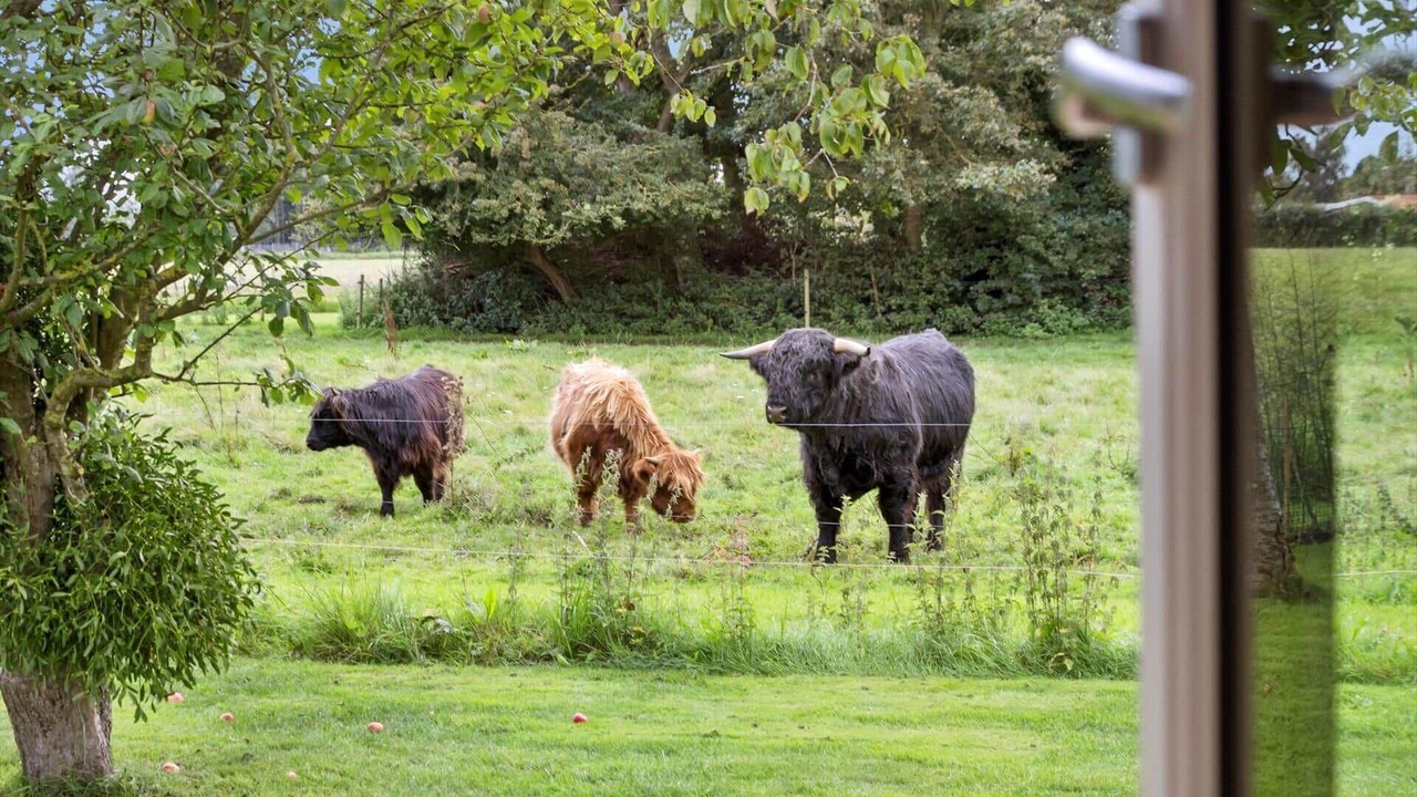 Photo of Others in Norsminde