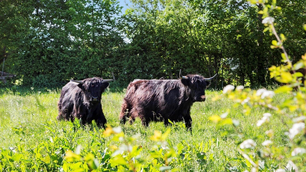 Photo of Others in Norsminde