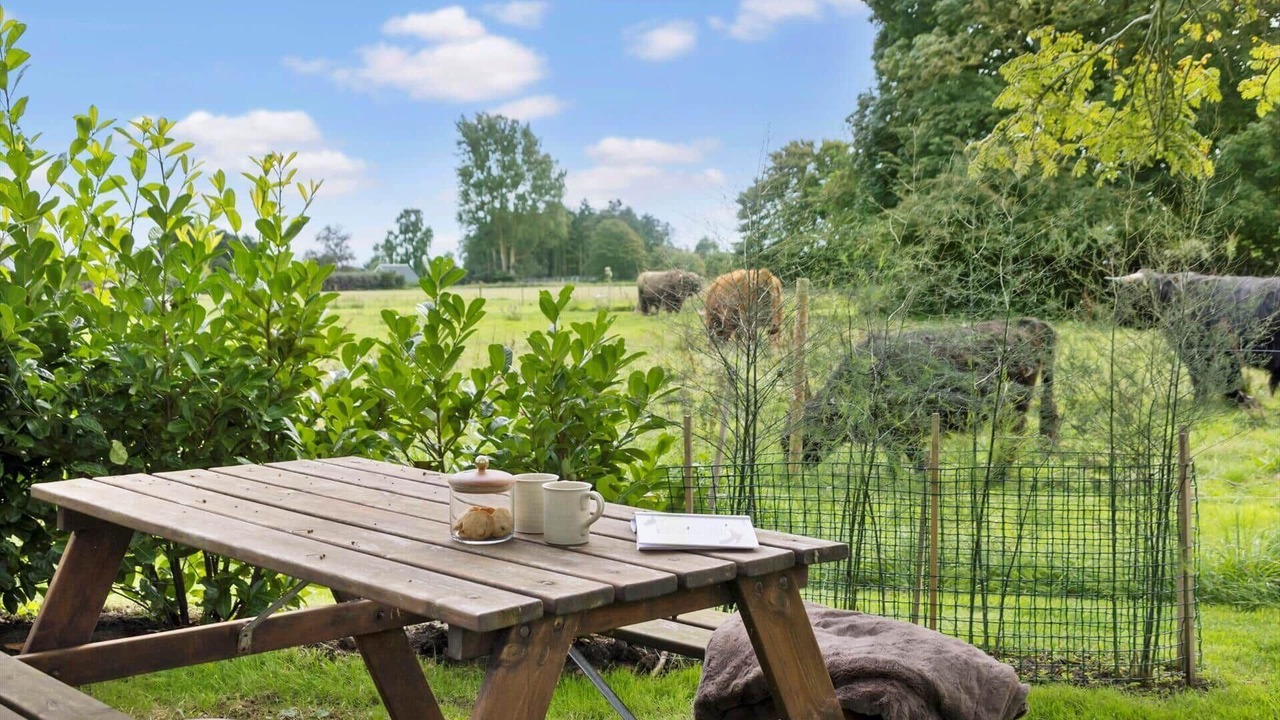 Photo of Outdoor in Norsminde