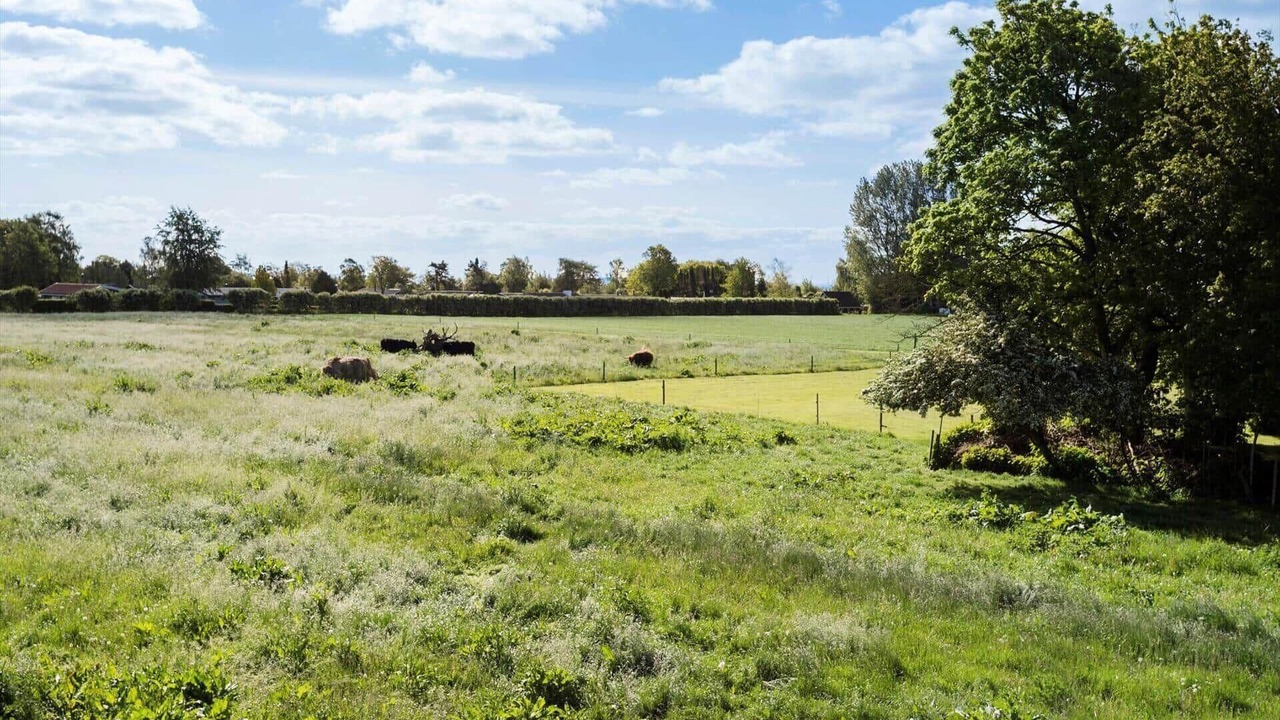 Photo of Others in Norsminde