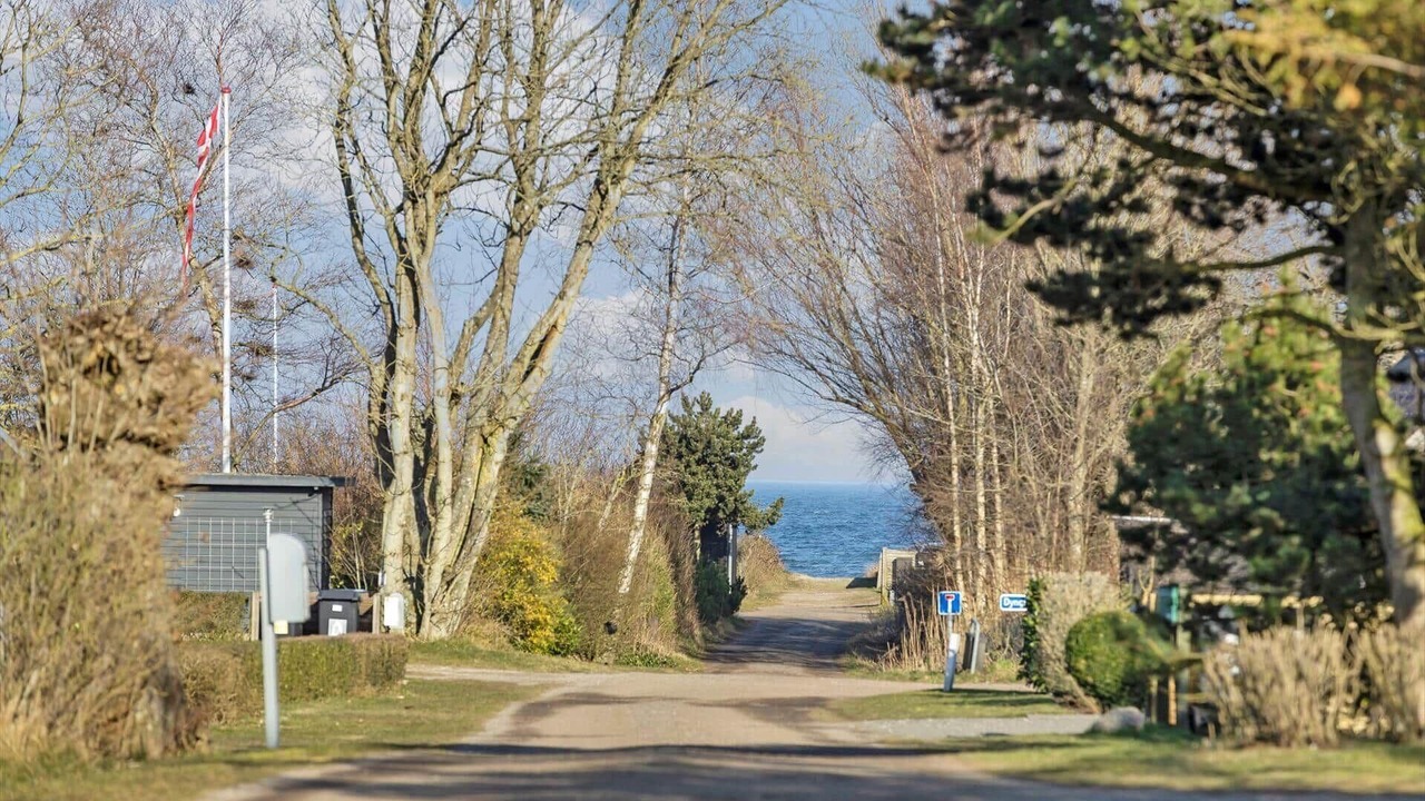 Photo of Others in Saksild Strand
