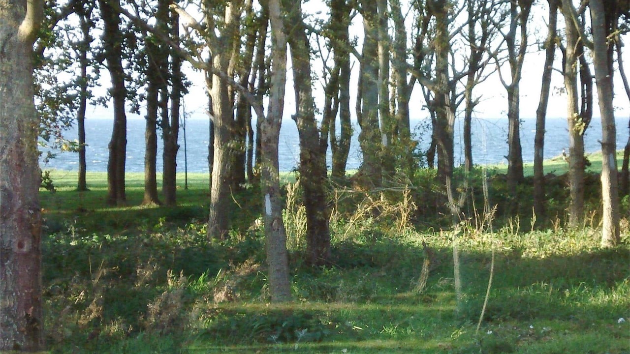 Photo of Others in Tuno
