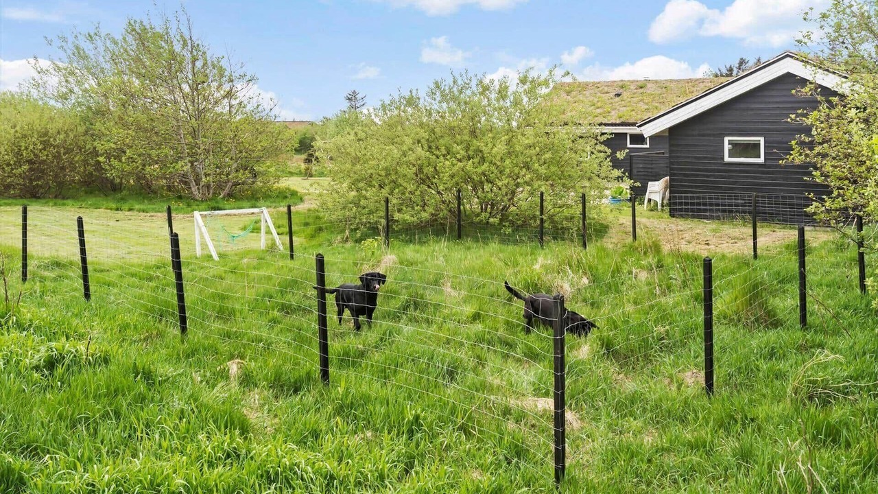 Photo of Outdoor in Saltum