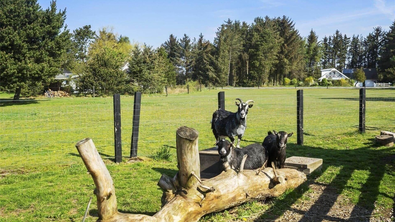 Photo of Others in Pandrup