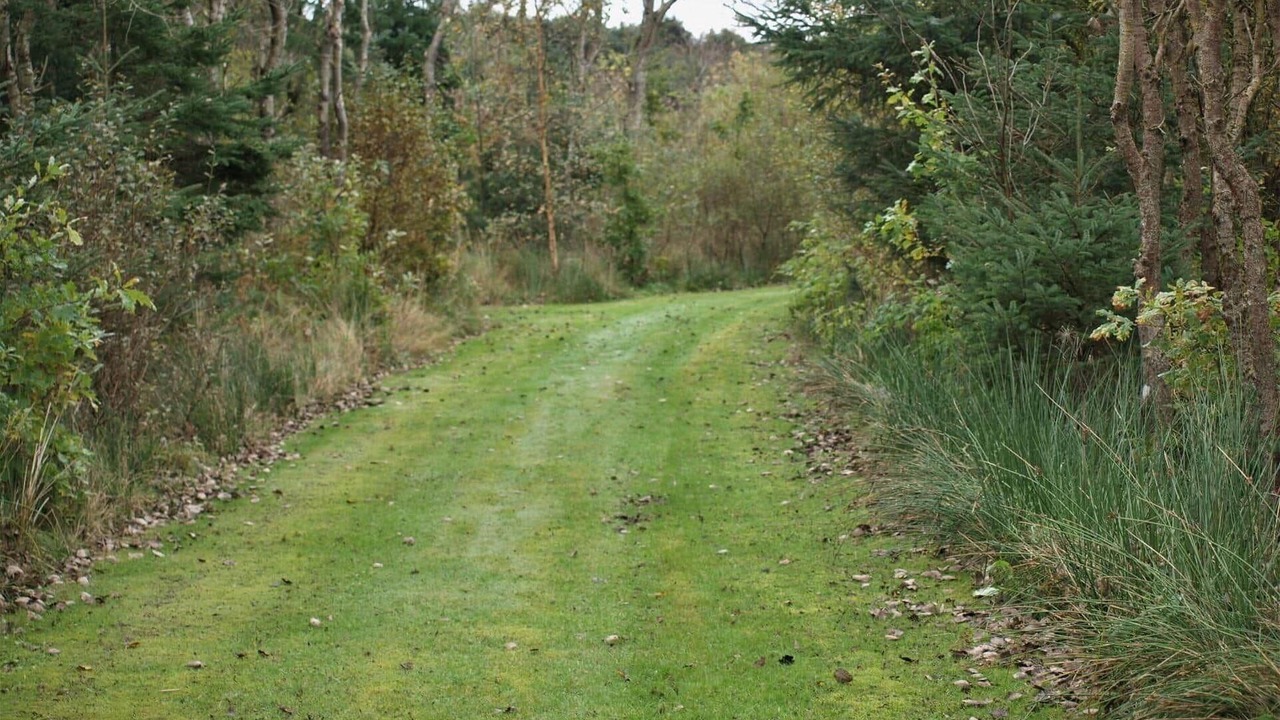 Photo of Others in Pandrup