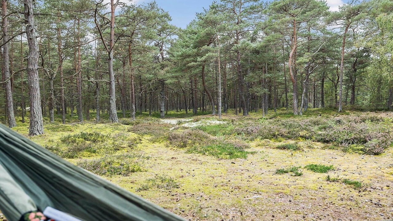 Photo of Others in Pedersker