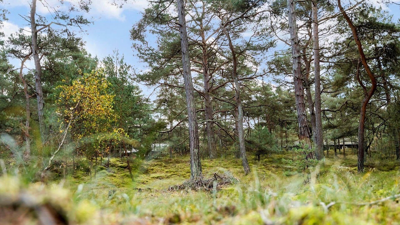 Photo of Others in Pedersker