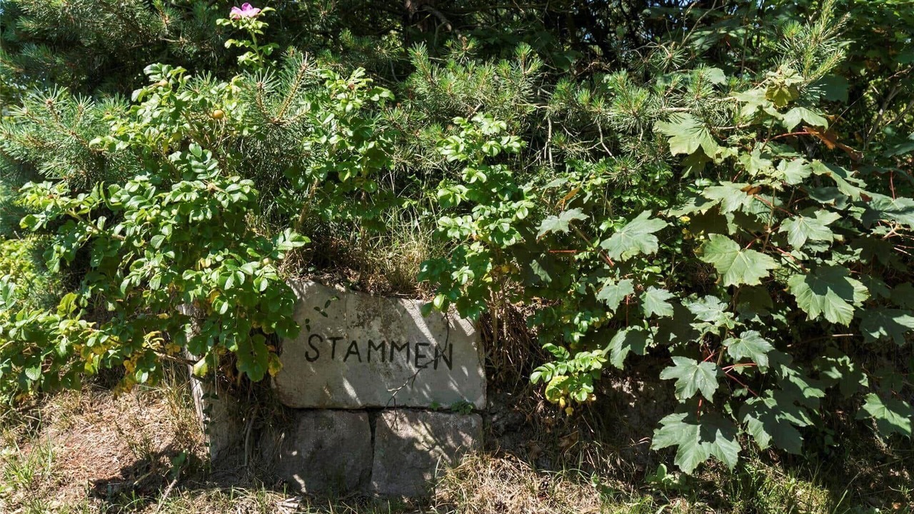 Photo of Outdoor in Snogebaek
