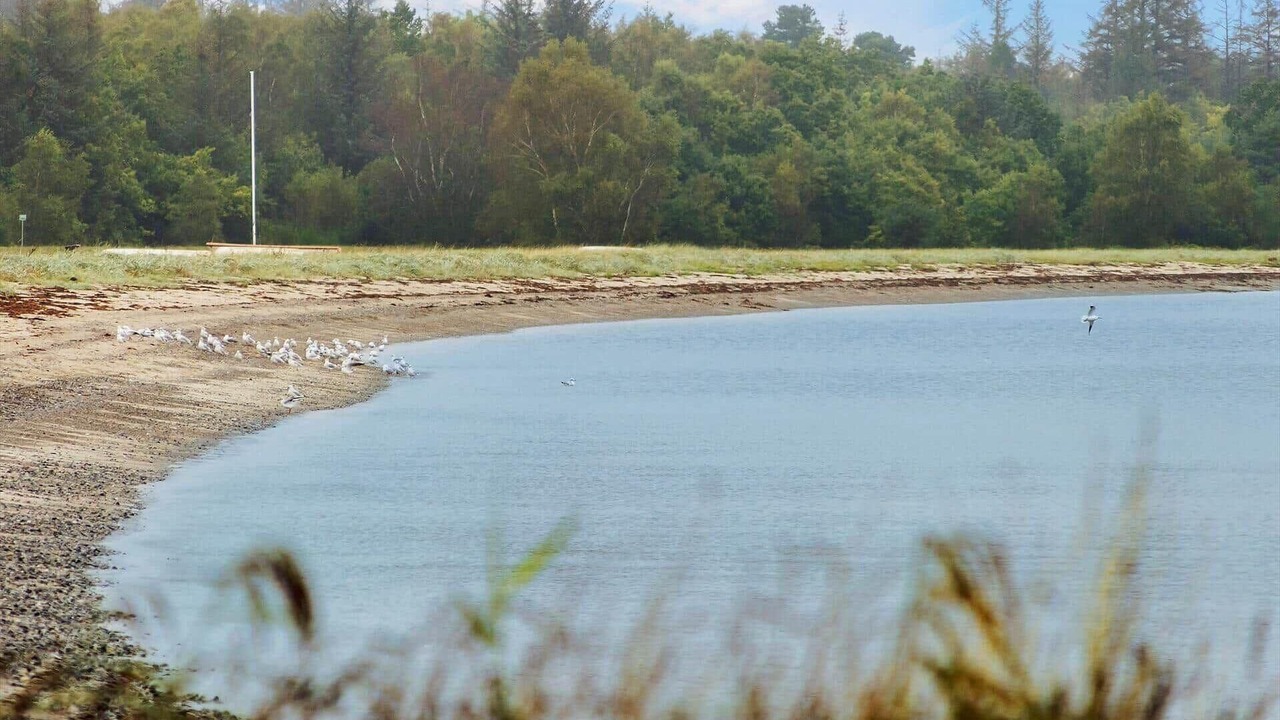 Photo of Others in Juelsminde