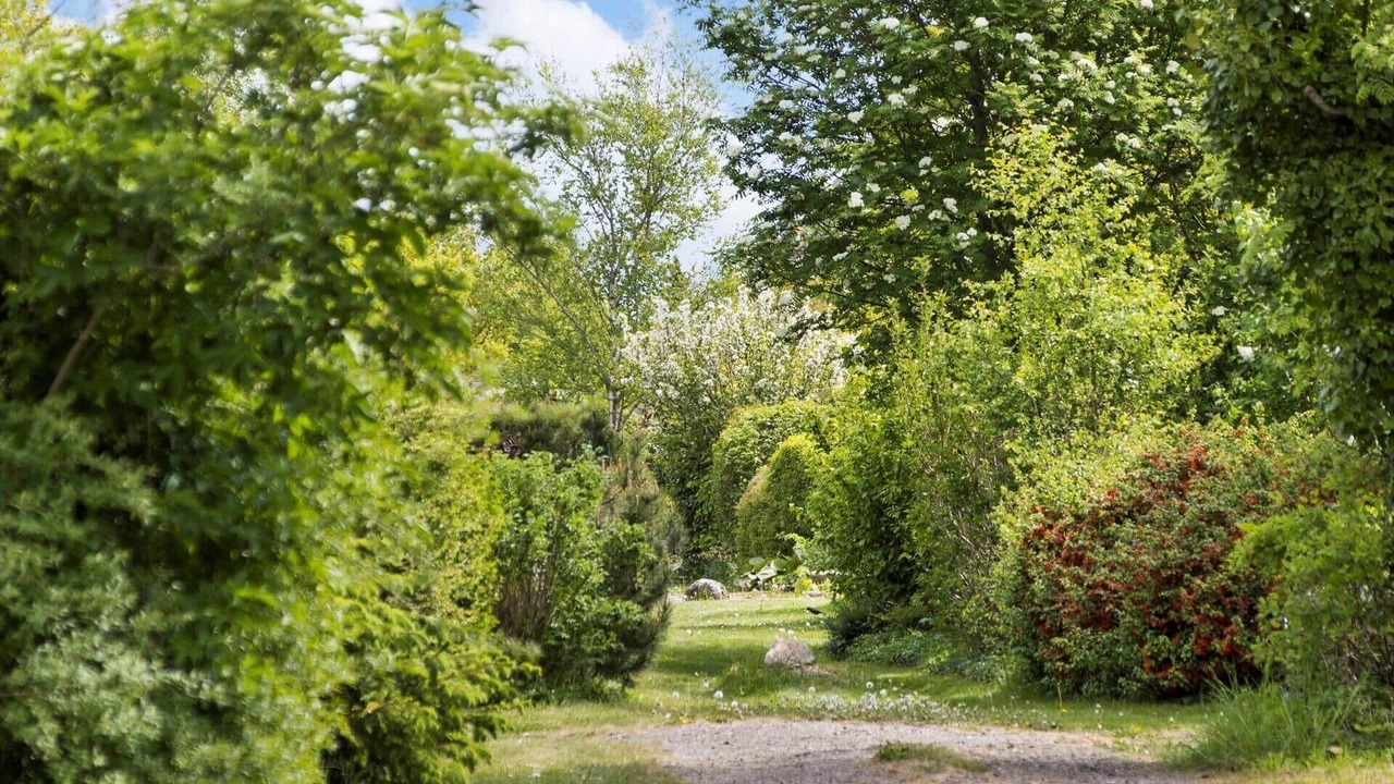 Photo of Outdoor in Kysing