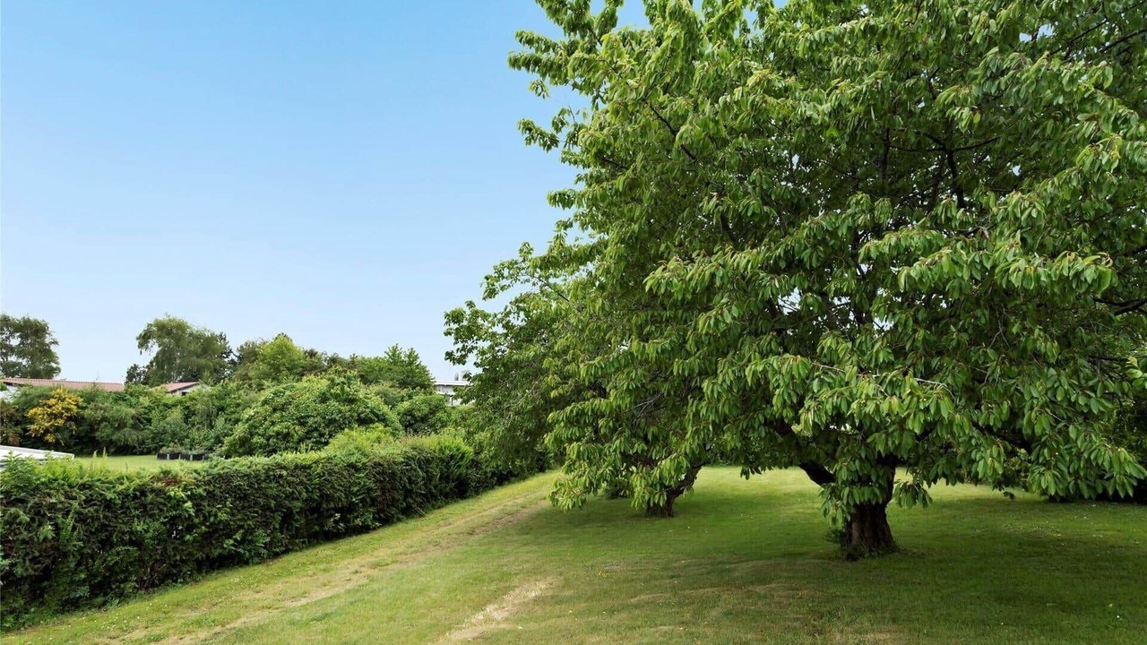 Photo of Outdoor in Boeslum