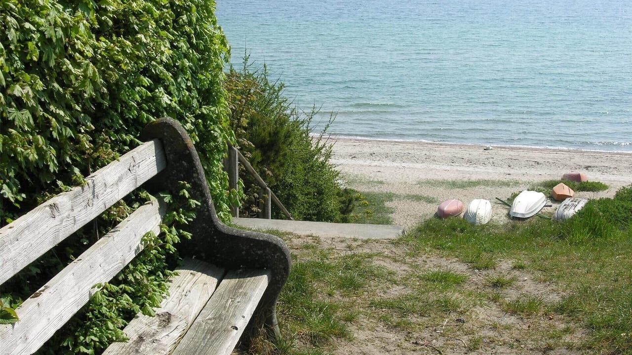 Photo of Others in Saksild Strand