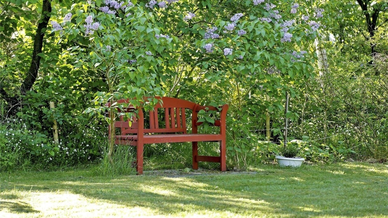 Photo of Outdoor in Saksild Strand