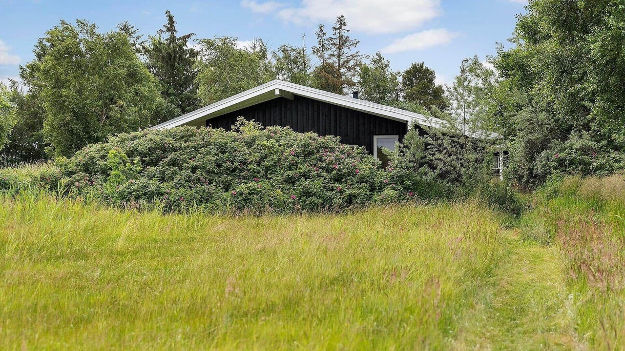 Photo of Outdoor in Helberskov Strand