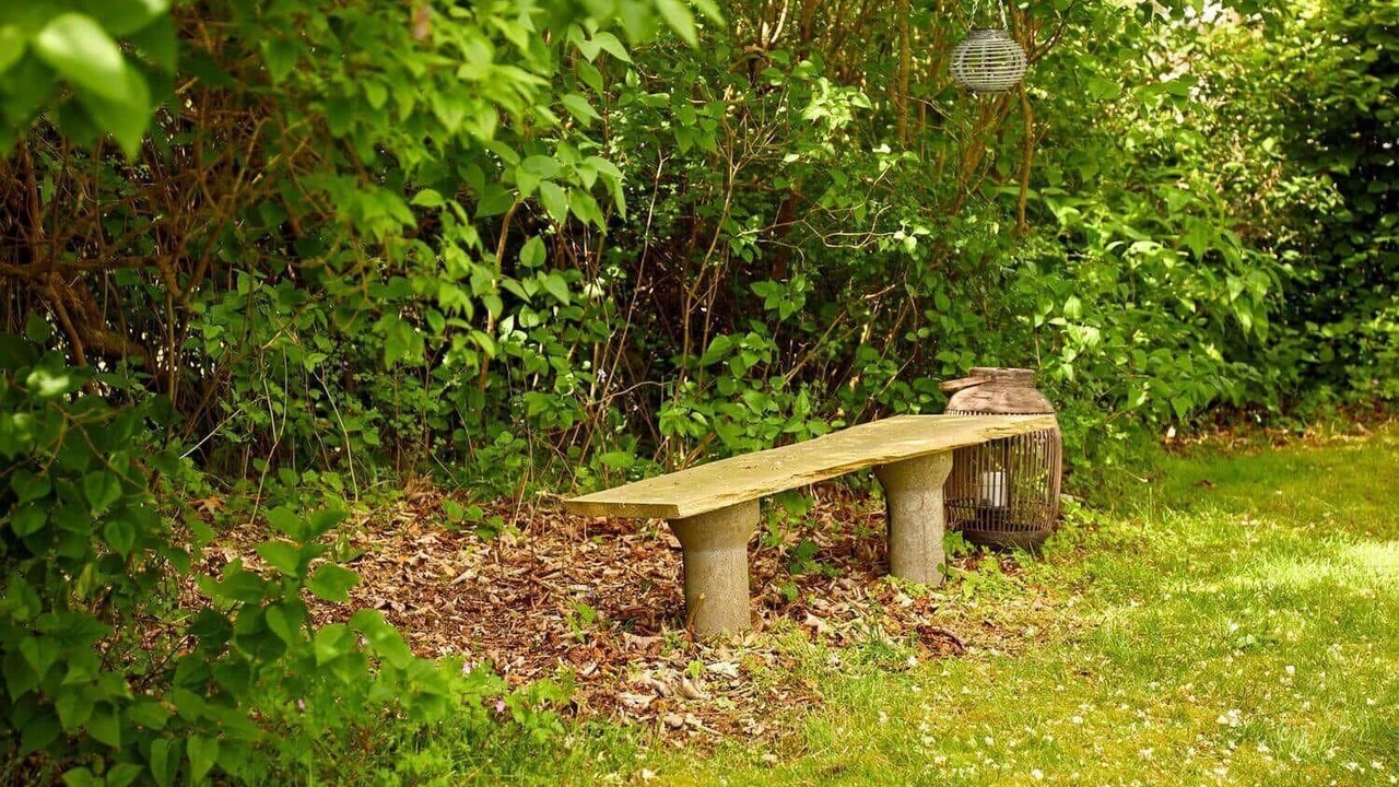 Photo of Outdoor in Norsminde