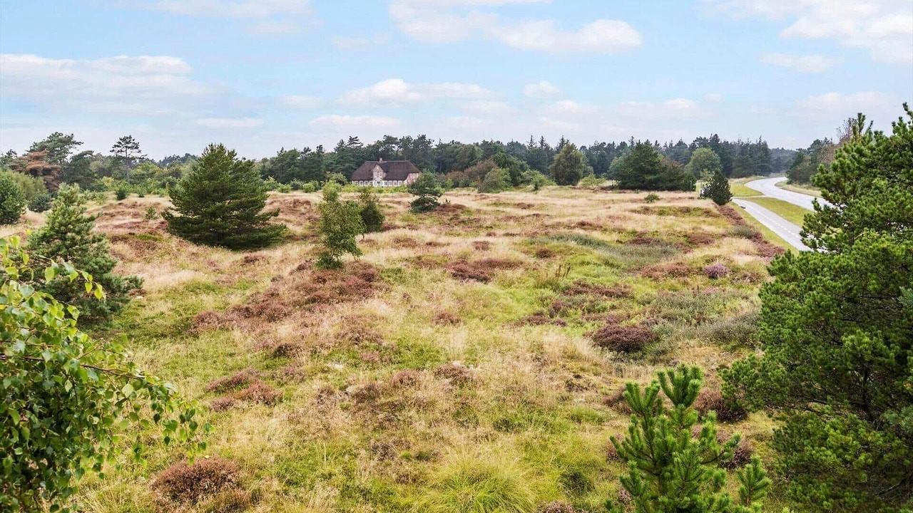 Photo of Others in Rømø Kirkeby