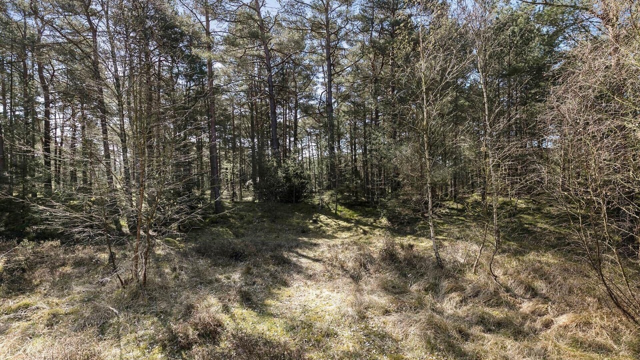 Photo of Others in Pedersker