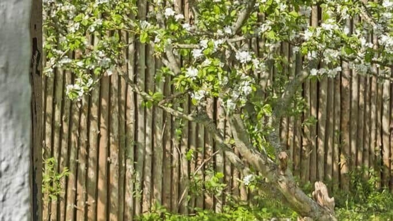 Photo of Outdoor in Holloselund