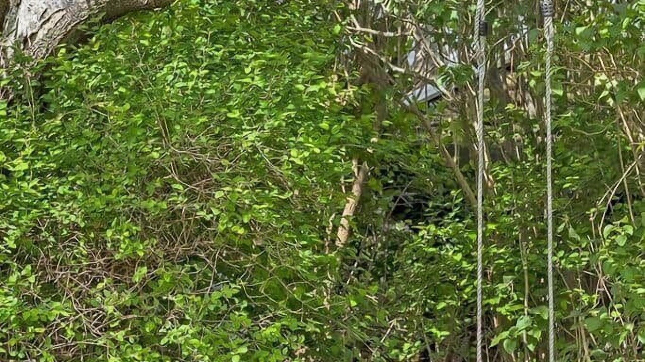 Photo of Others in Holloselund