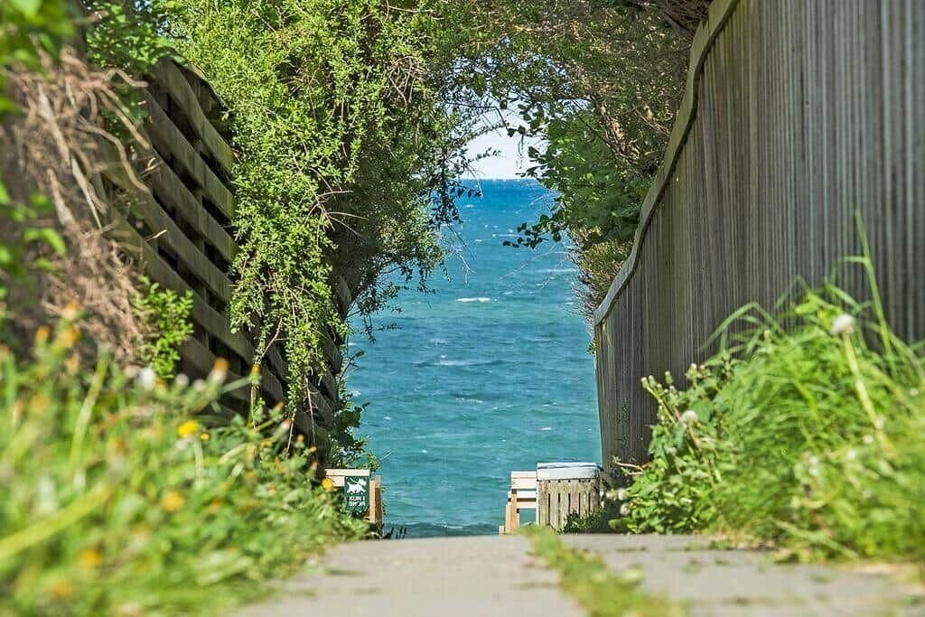 Photo of Others in Holloselund