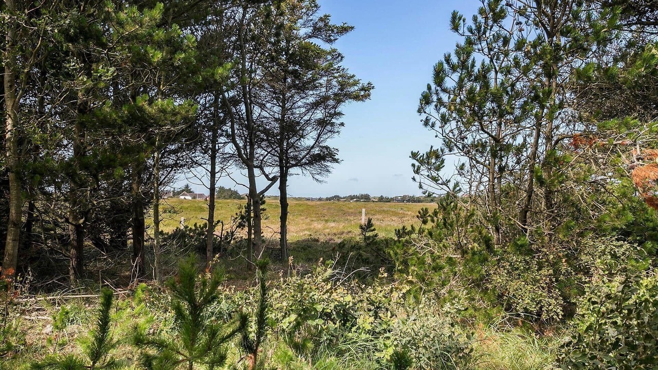 Photo of Others in Rødhus