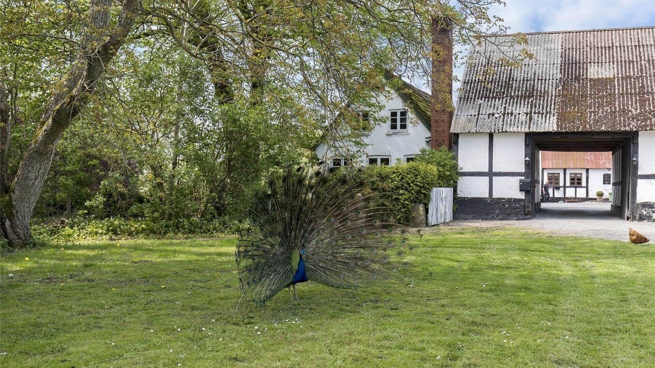 Photo of Outdoor in Akirkeby
