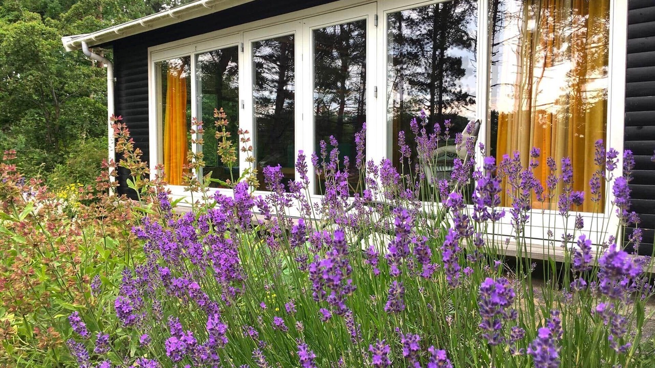 Photo of Outdoor in Liseleje