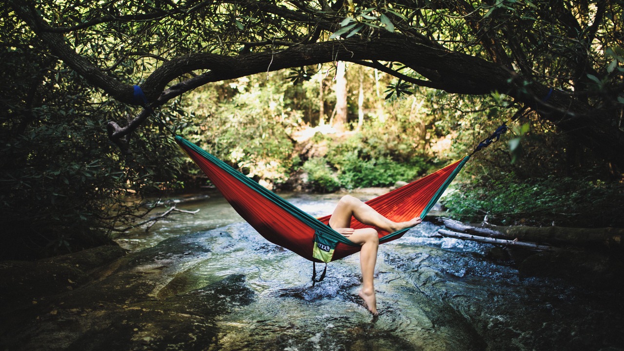Photo of Others in Brevard