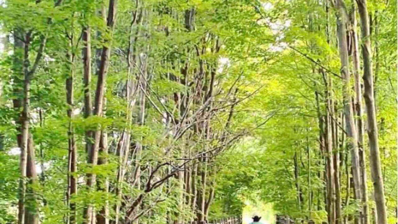 Photo of Others in Amenia