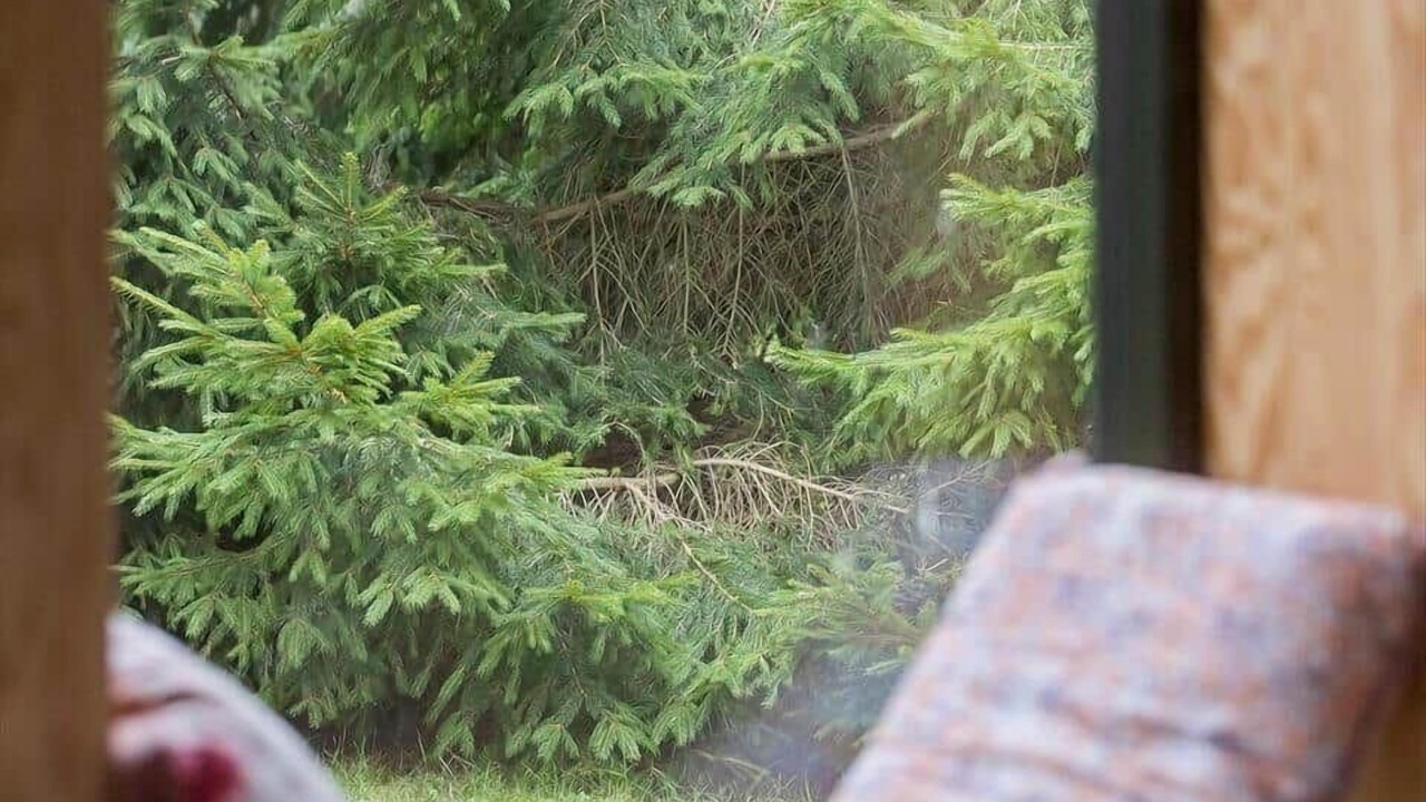 Photo of Others in Udsholt Sand