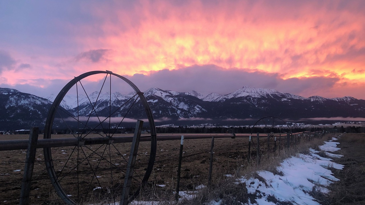 Photo of Others in Joseph