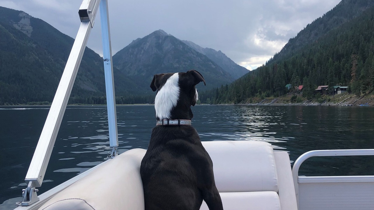 Photo of Others in Joseph