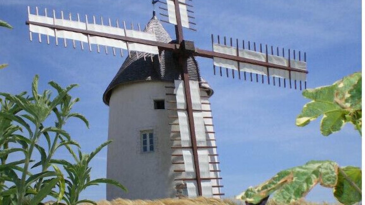 Photo of Others in Jard-sur-Mer