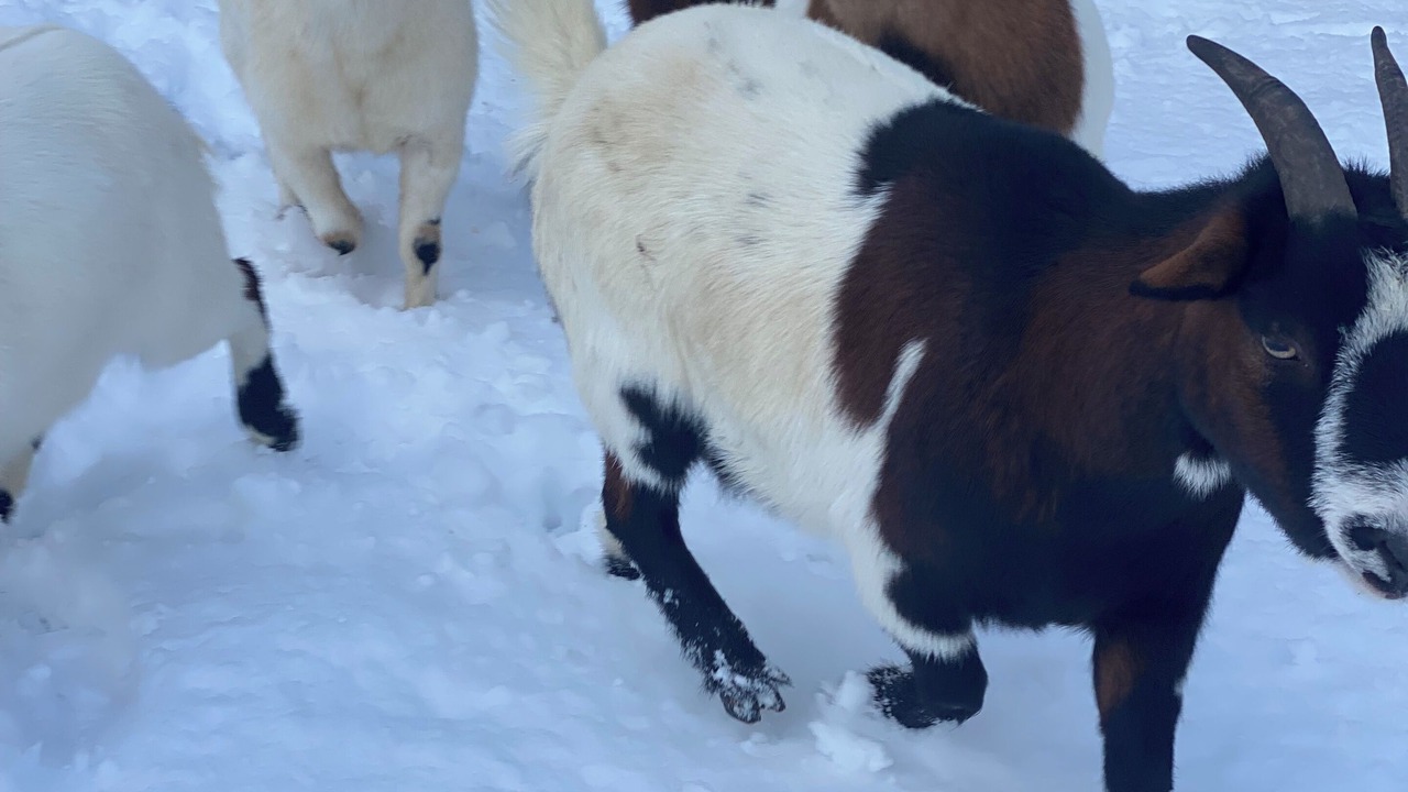Photo of Others in Pre-en-Pail