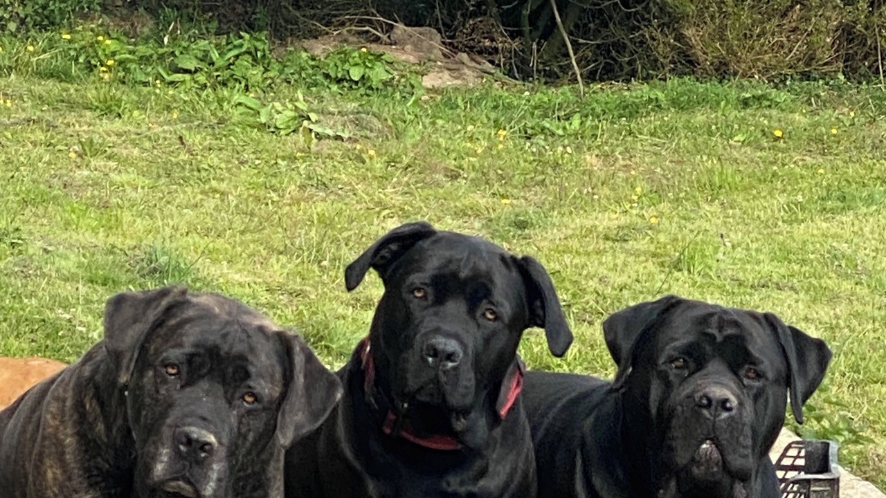 Photo of Others in Pre-en-Pail