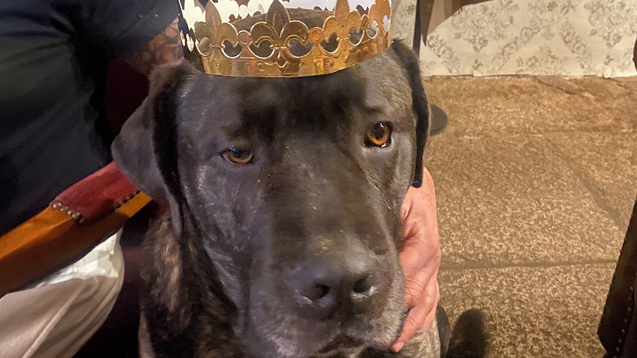 Photo of Others in Pre-en-Pail