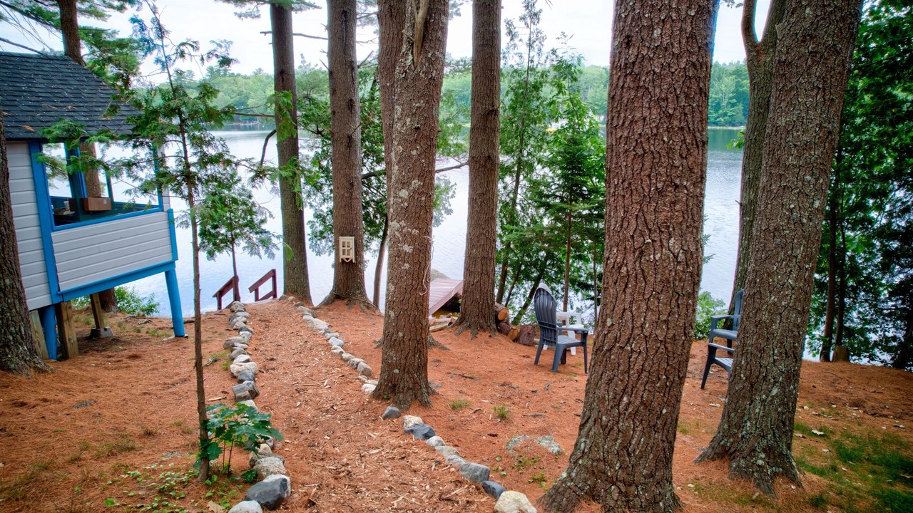 Photo of Outdoor in Orland