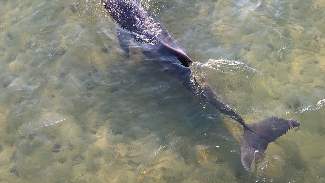 Photo of Others in Titusville