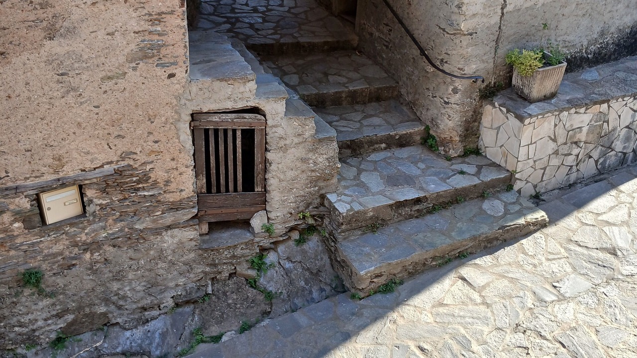 Photo of Outdoor in Porri