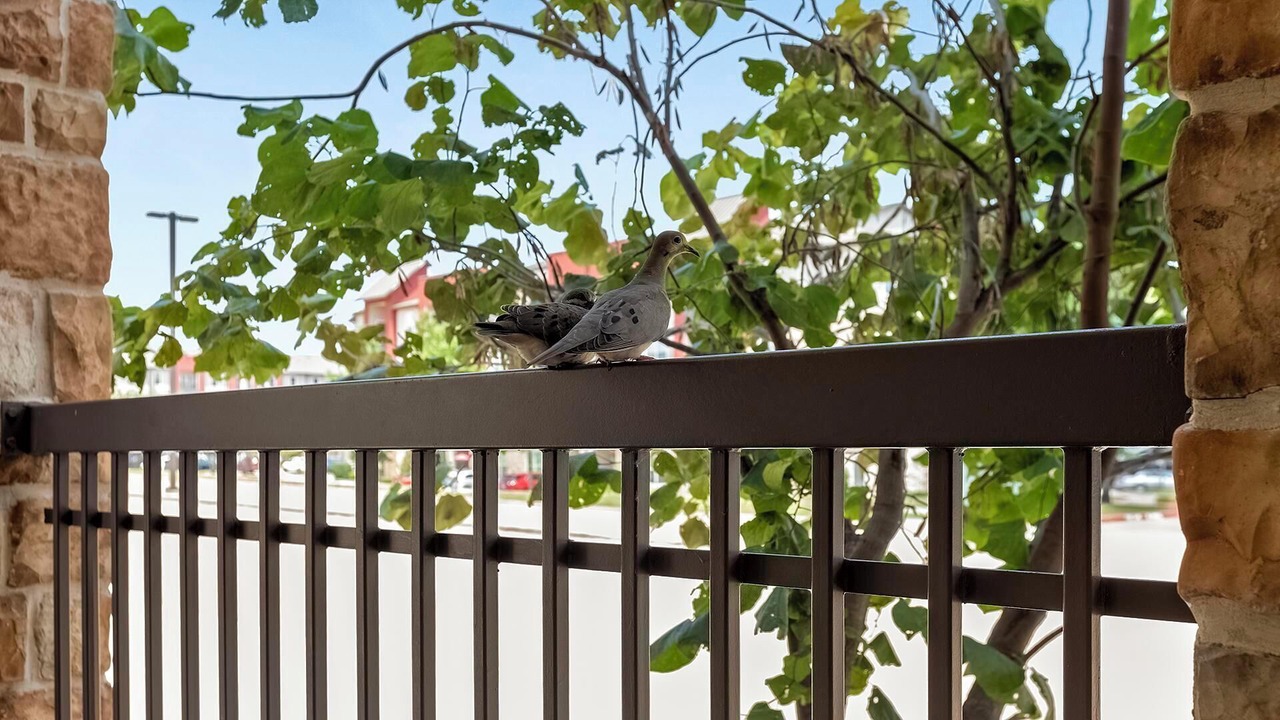 Photo of Patio Balcony in Allen