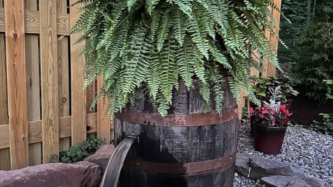 Photo of Outdoor in Denver