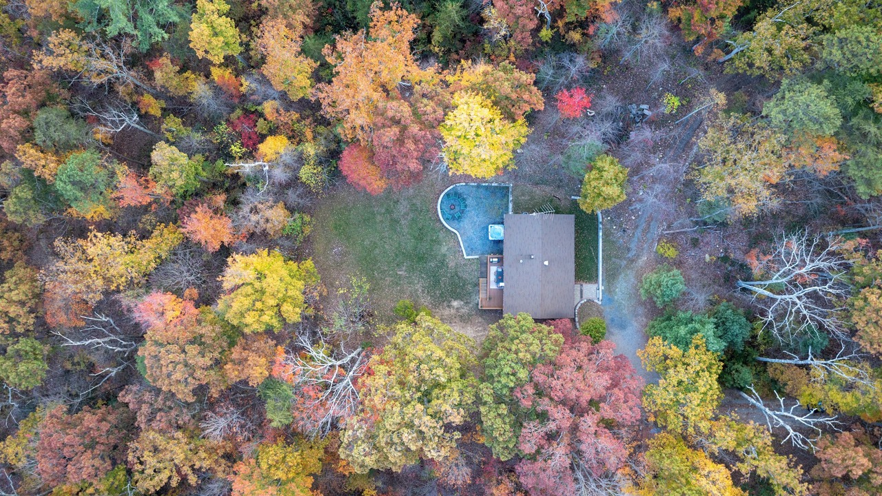 Photo of Others in Shenandoah