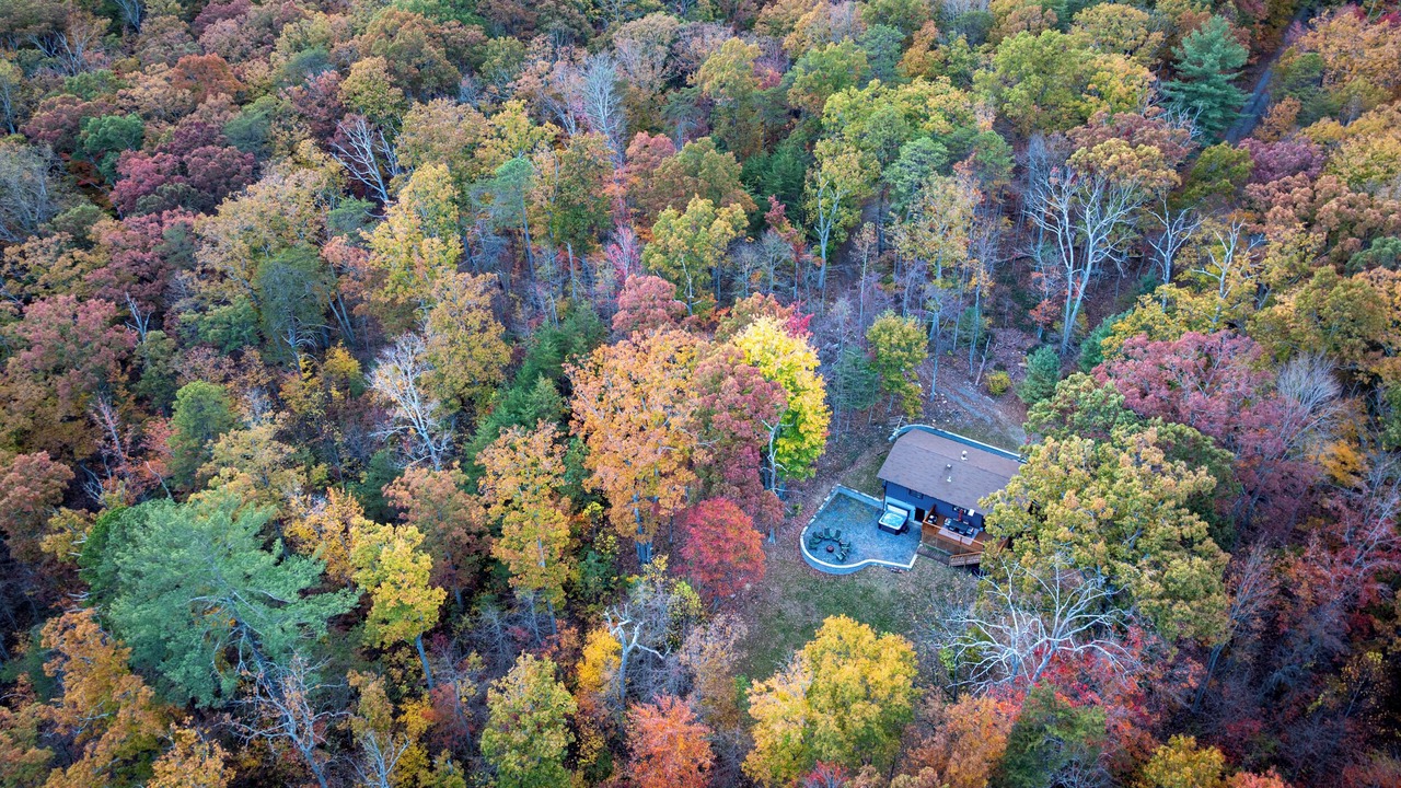 Photo of Others in Shenandoah